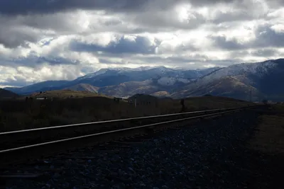 DSC_2887 (Large).JPG